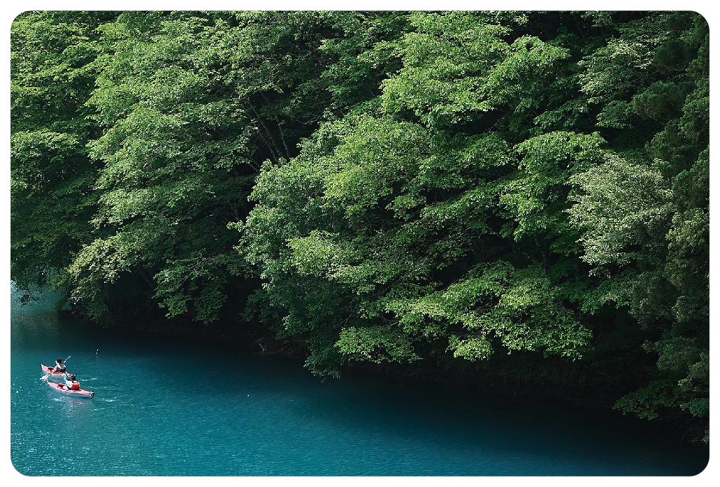 Sony A7 IV Sample image of 2 kayakers paddling down a clear blue river in the foreground with vibrant green, large overgrown tree coverage